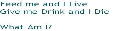 Feed me and I Live
Give me Drink and I Die

What Am I?